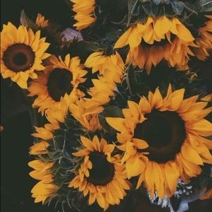 Meet your Posher, Nohemi